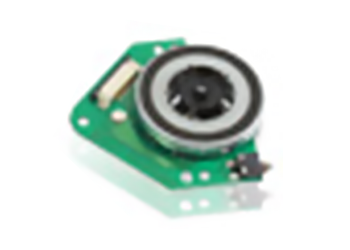 Brushless Motor