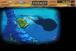 Feeding Frenzy